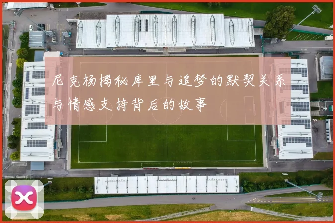 尼克杨揭秘库里与追梦的默契关系与情感支持背后的故事