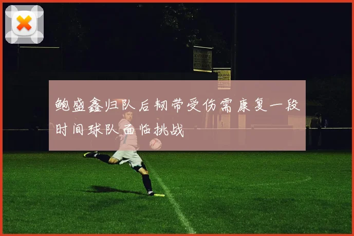 鲍盛鑫归队后韧带受伤需康复一段时间球队面临挑战