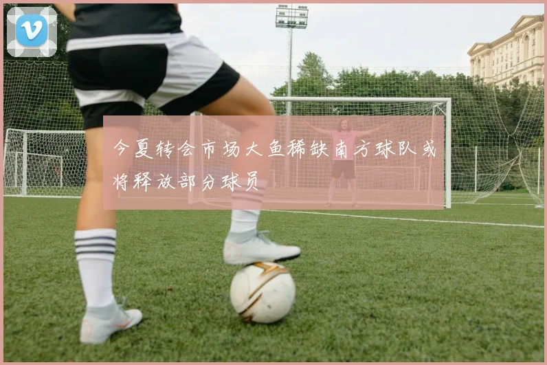 今夏转会市场大鱼稀缺南方球队或将释放部分球员
