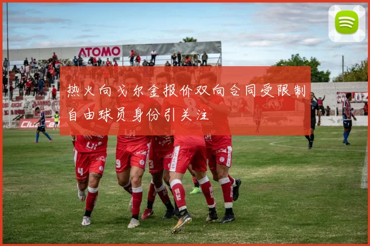 热火向戈尔金报价双向合同受限制自由球员身份引关注